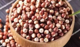 麻豆功效与吃法,功效揭秘与美味吃法分享