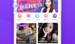 直播91app,揭秘热门直播平台的魅力与挑战